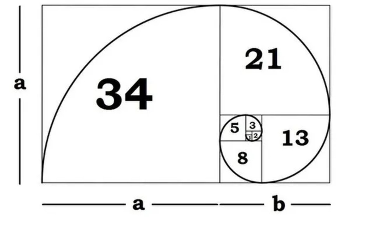 fibonacci.jpg